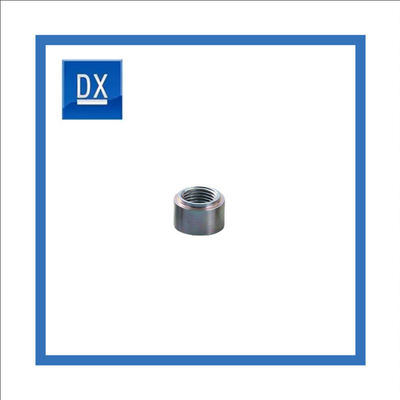 M6X10MM 등급 4.8 탄소강 직류 전기로 자극된 라운드 여성 용접물 너트